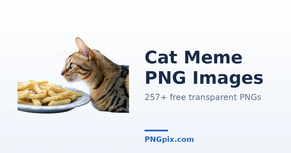 Cat Meme PNG images