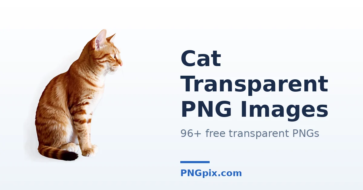 Cat Transparent PNG images