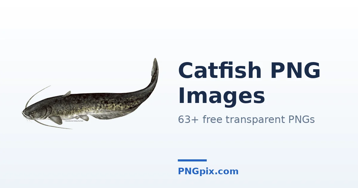 Catfish PNG images