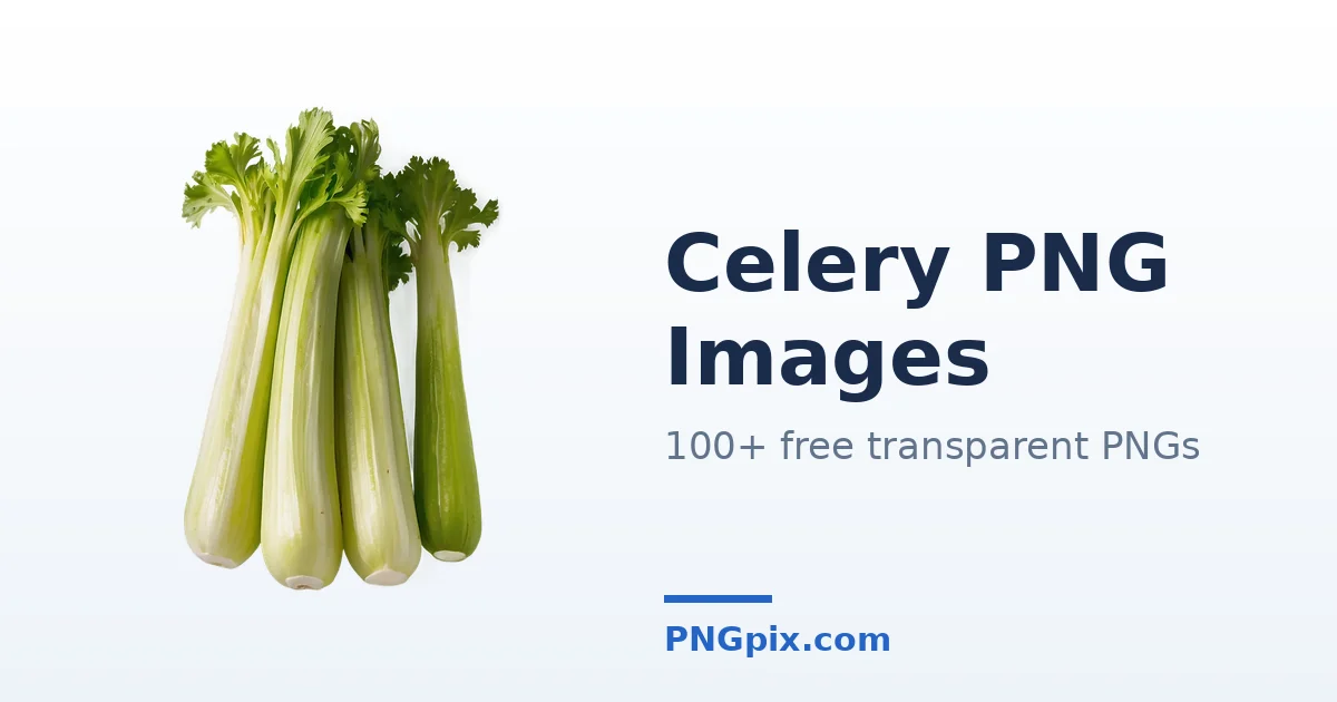 Celery PNG images
