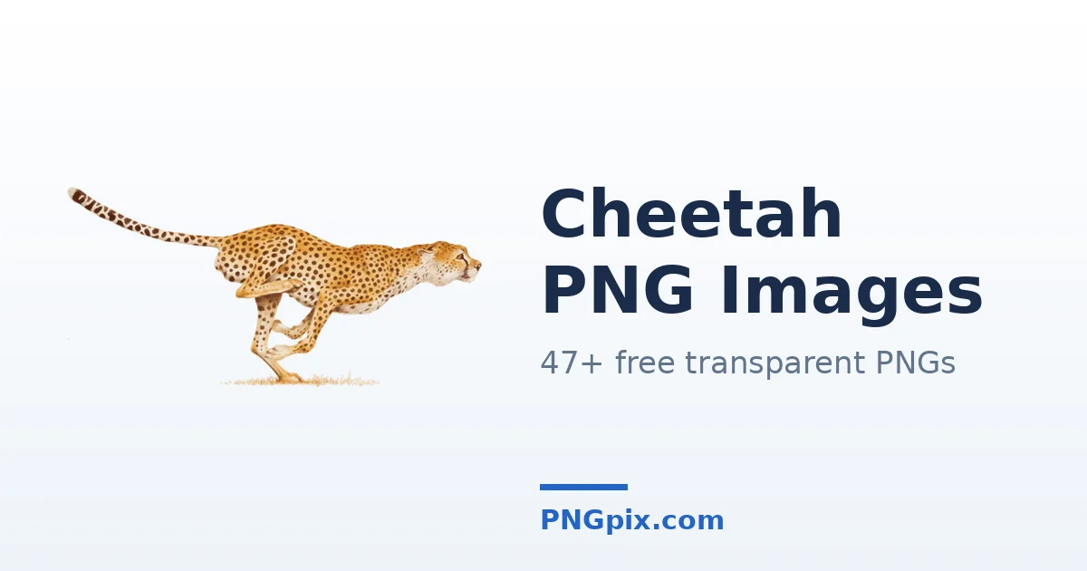 Cheetah PNG images