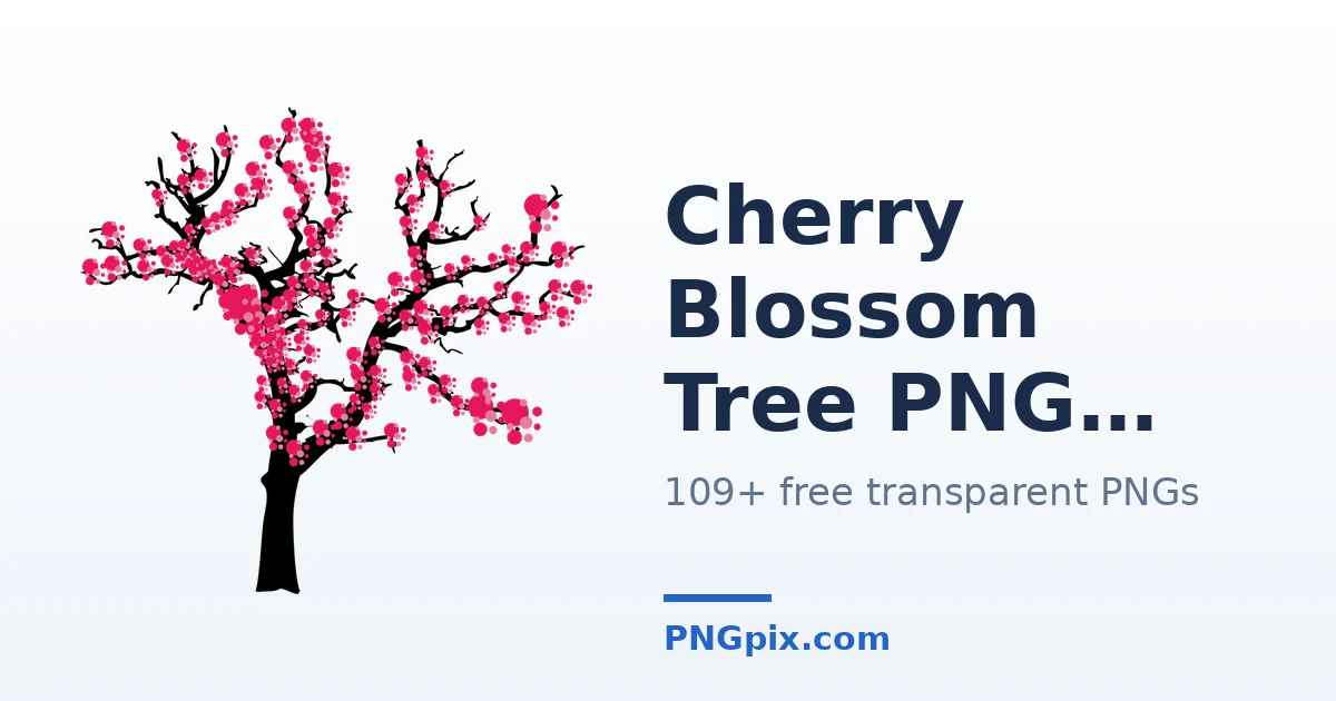 Cherry Blossom Tree PNG images