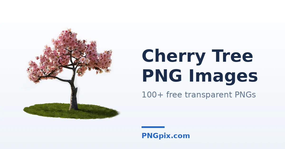 Cherry Tree PNG images