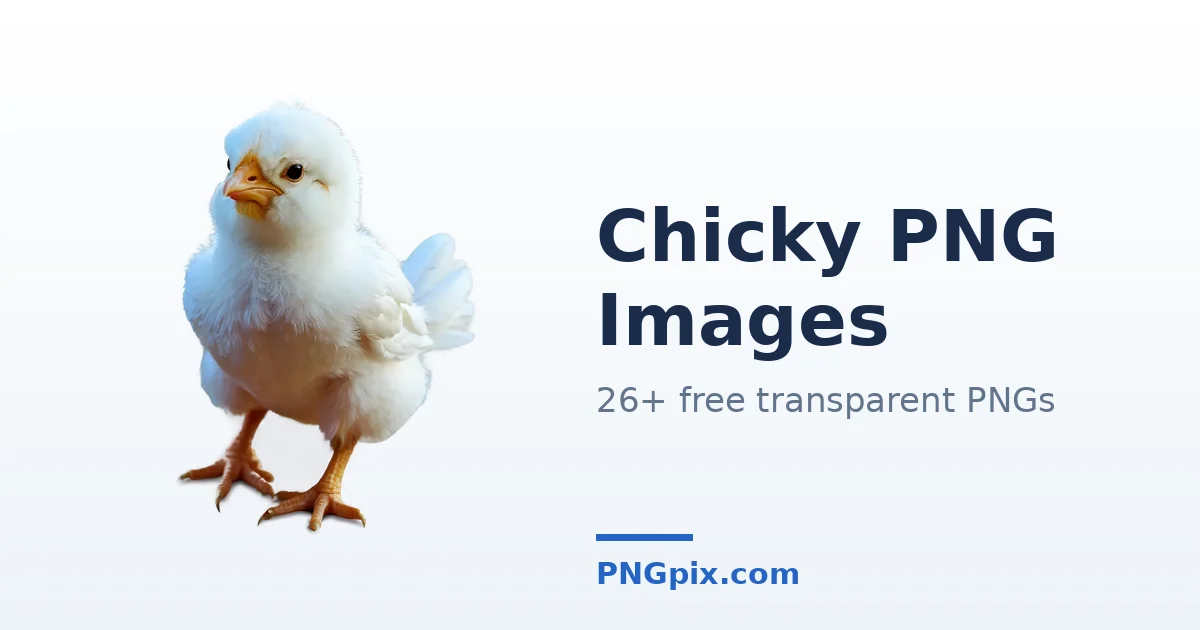 Chicky PNG images