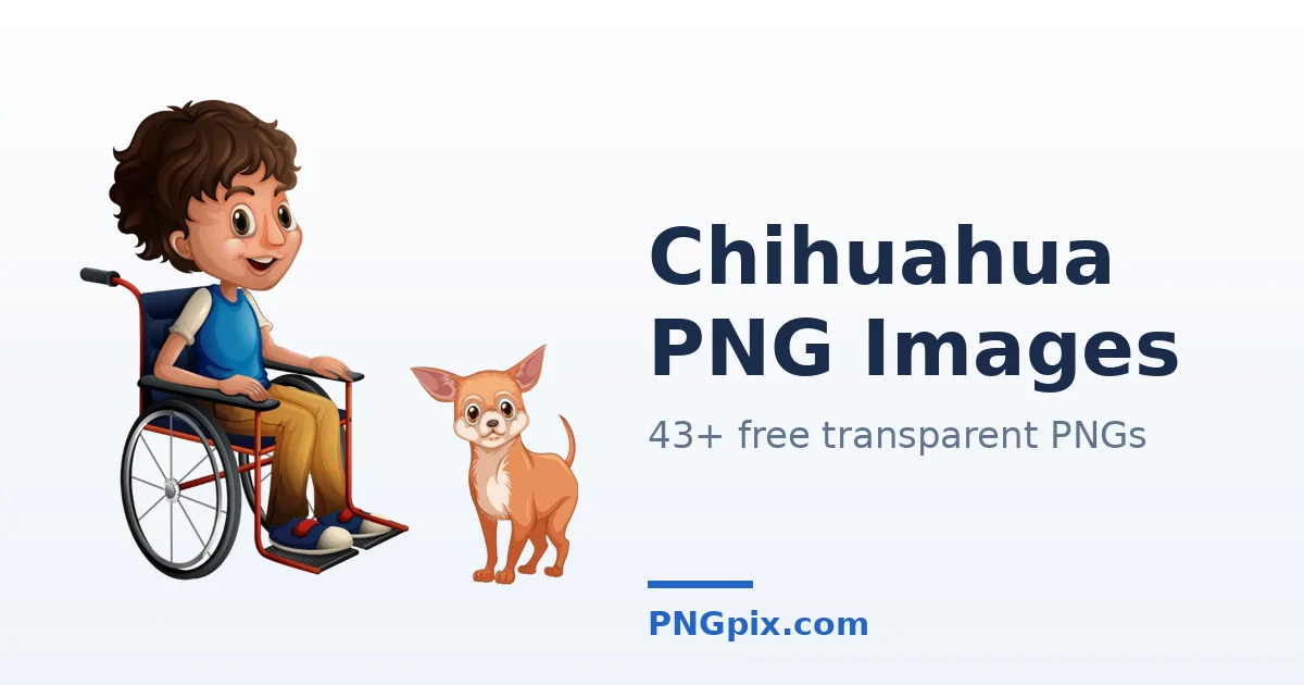 Chihuahua PNG images