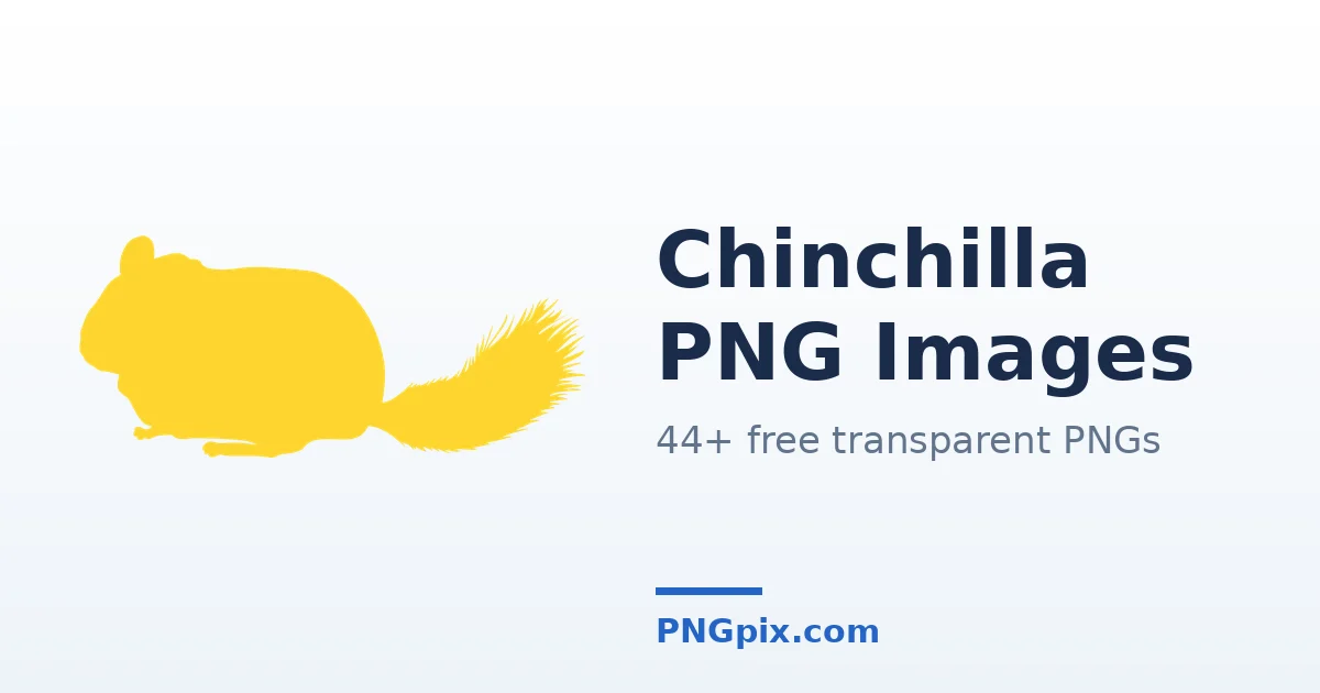 Chinchilla PNG images