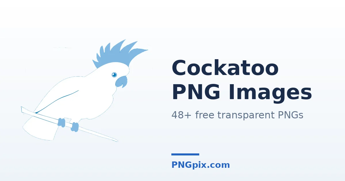 Cockatoo PNG images