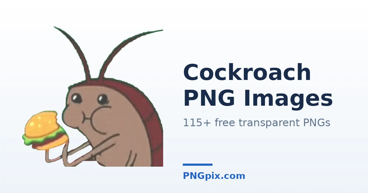 Cockroach PNG images