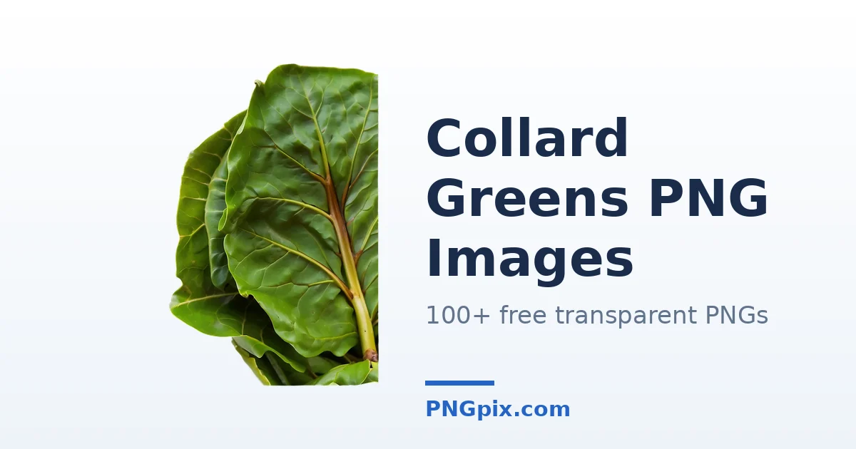 Collard Greens PNG images
