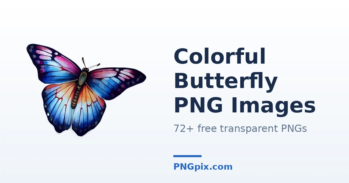 Colorful Butterfly PNG images