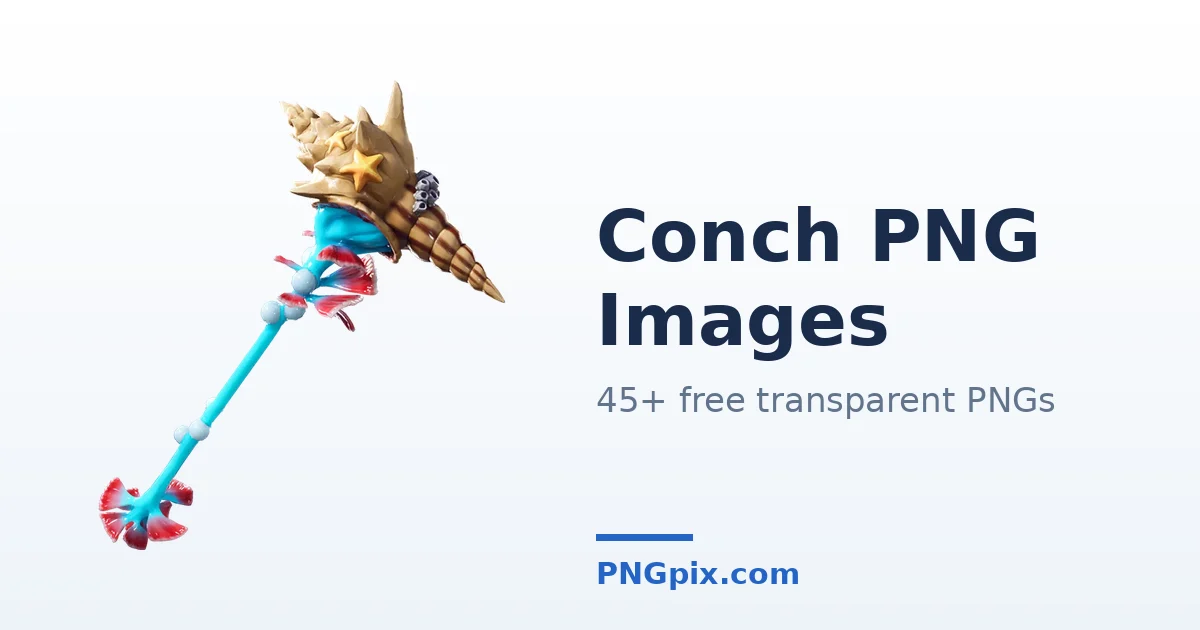 Conch PNG images