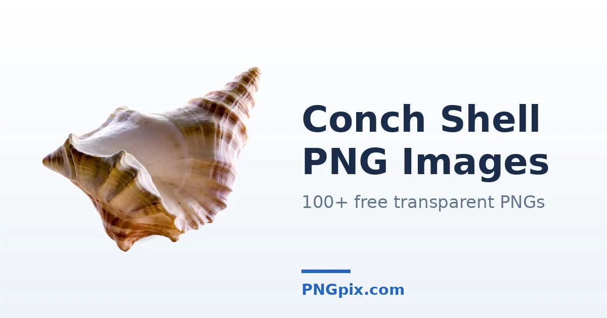 Conch Shell PNG images