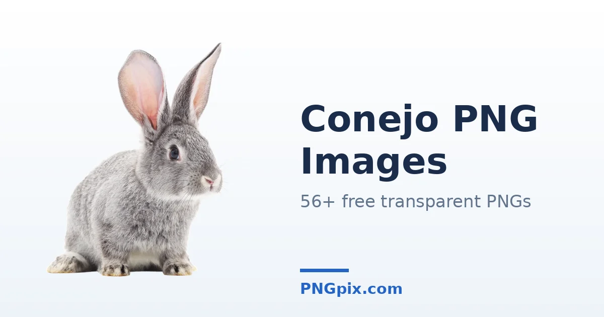 Conejo PNG images