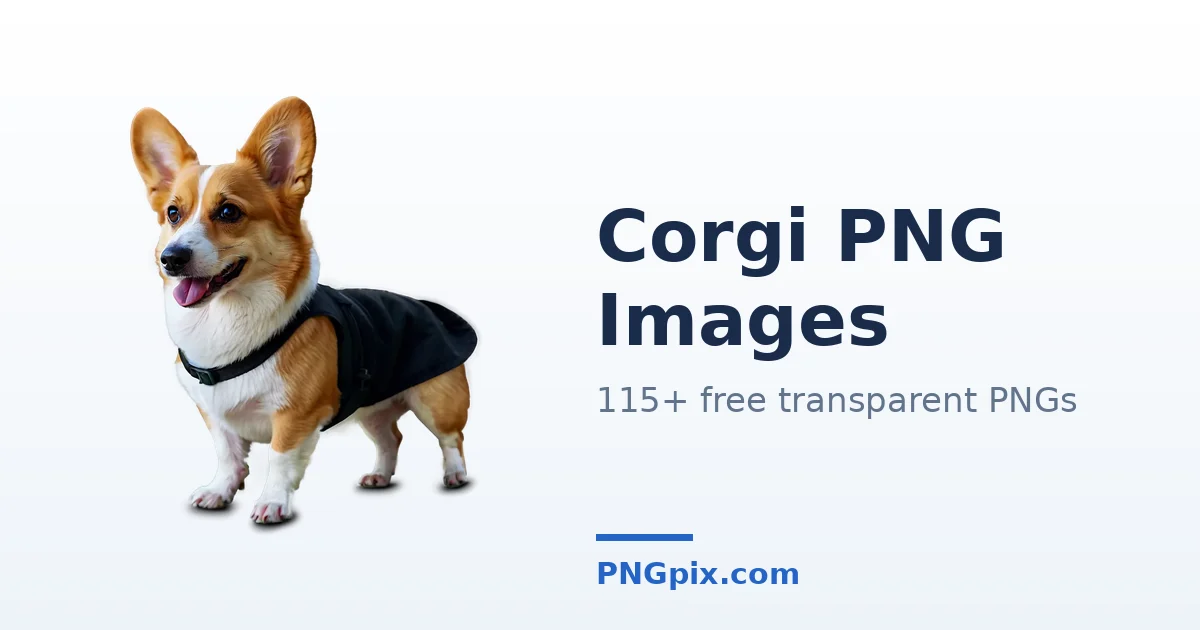 Corgi PNG images