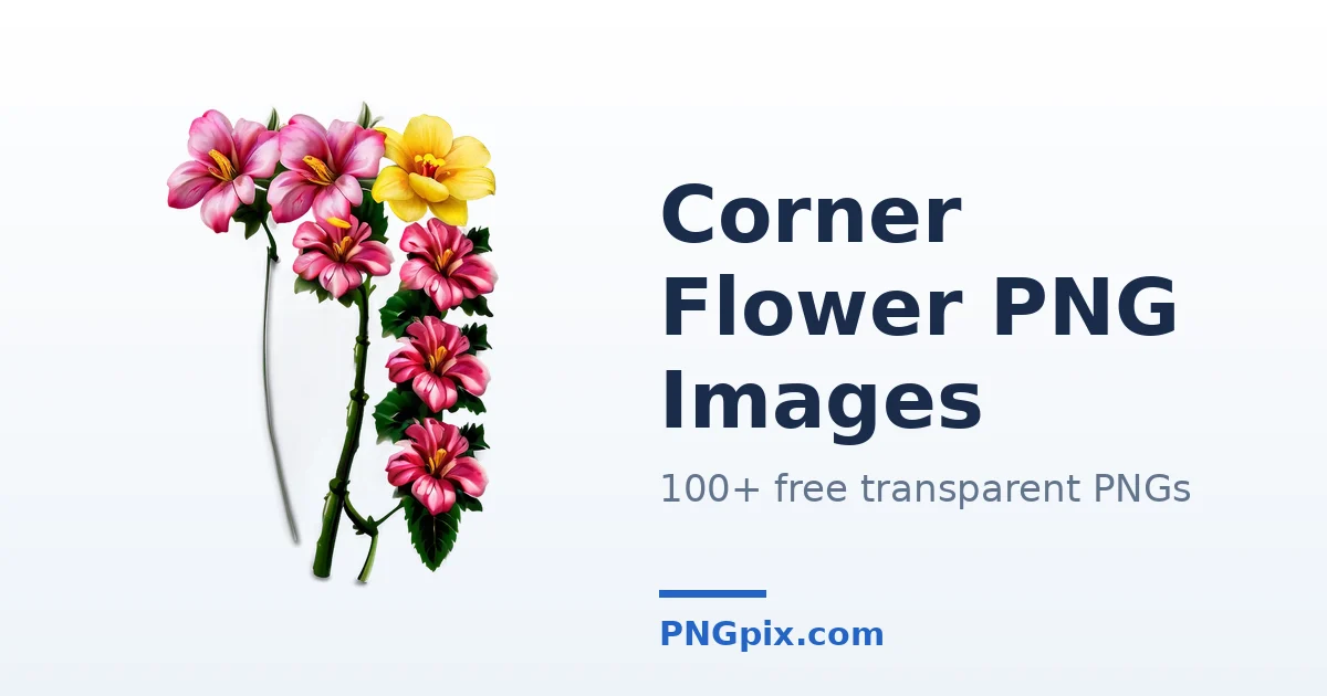 Corner Flower PNG images