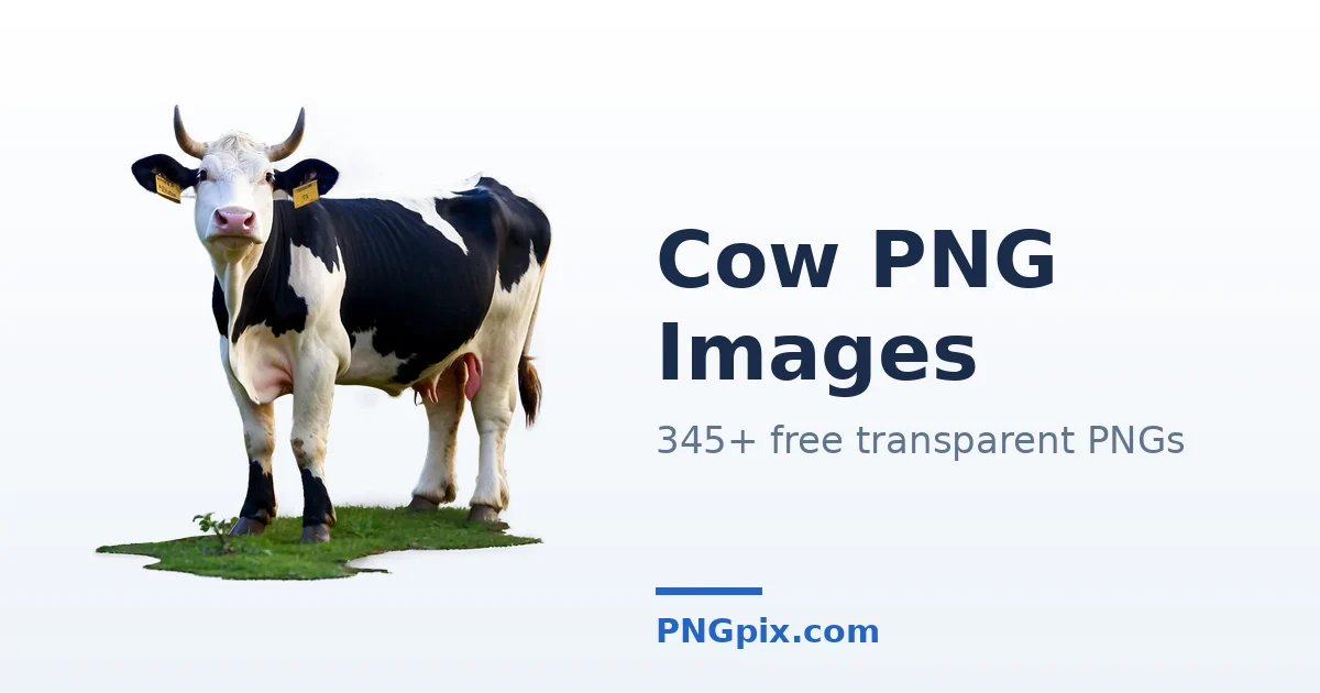 Cow PNG images