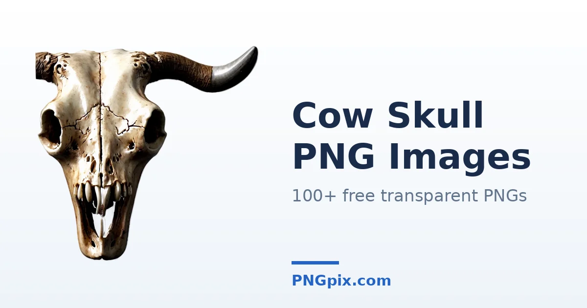 Cow Skull PNG images