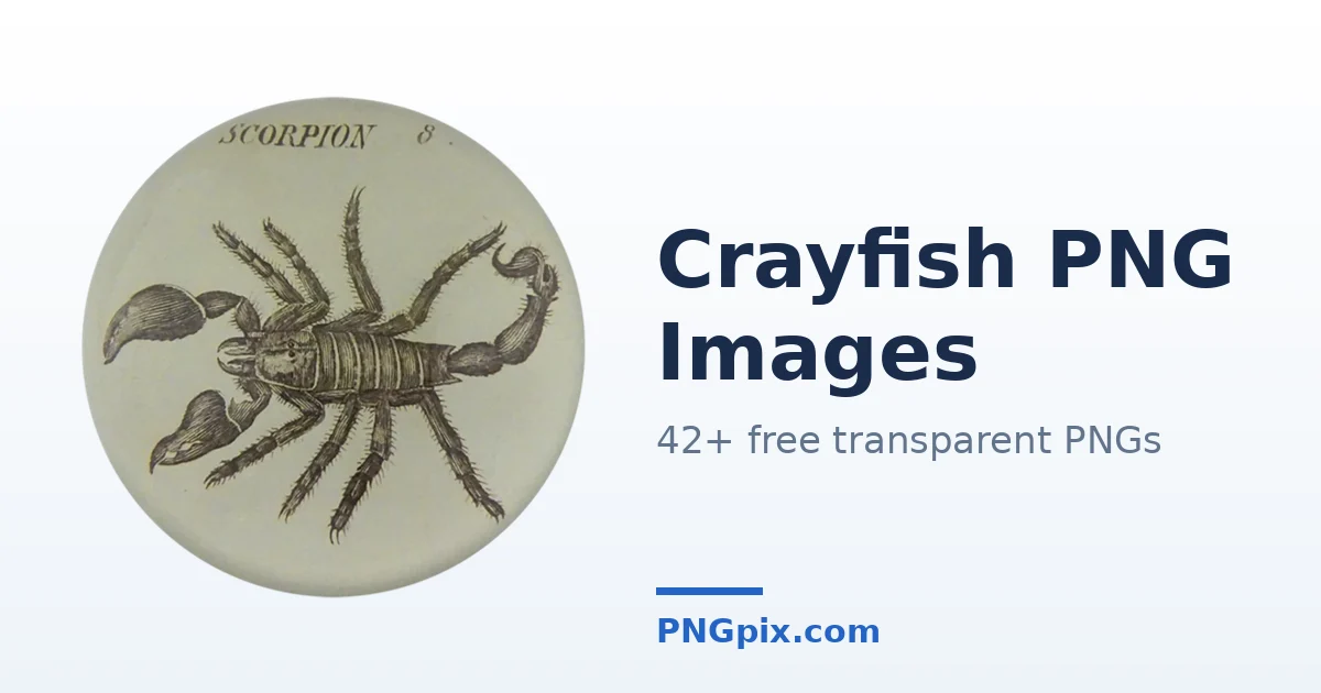 Crayfish PNG images