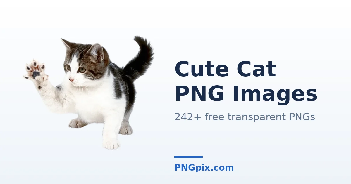 Cute Cat PNG images