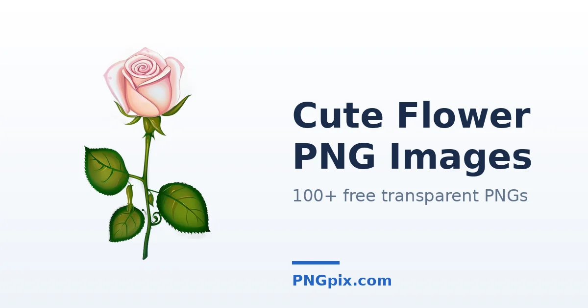 Cute Flower PNG images