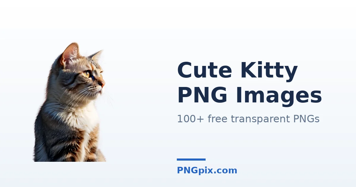 Cute Kitty PNG images