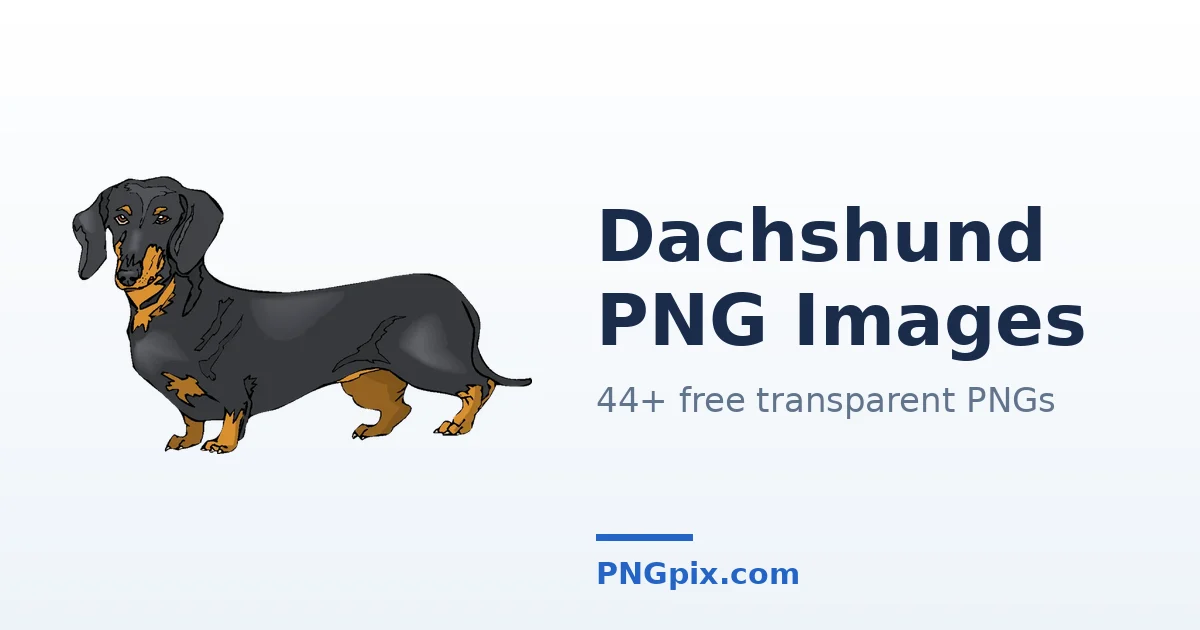 Dachshund PNG images