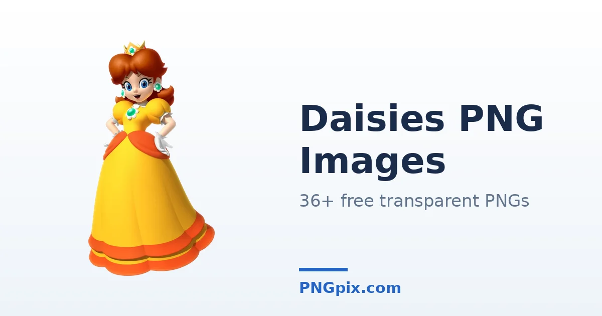 Daisies PNG images