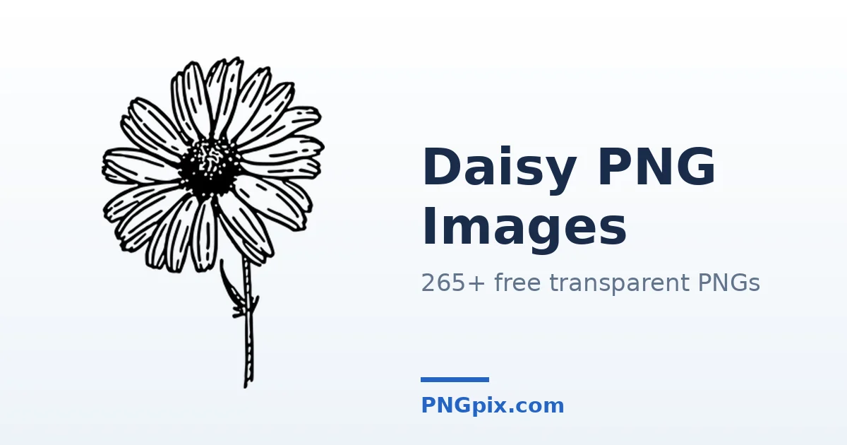 Daisy PNG images