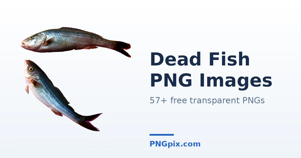 Dead Fish PNG images