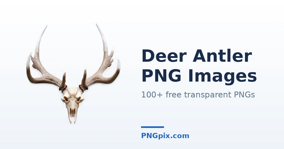 Deer Antler PNG images