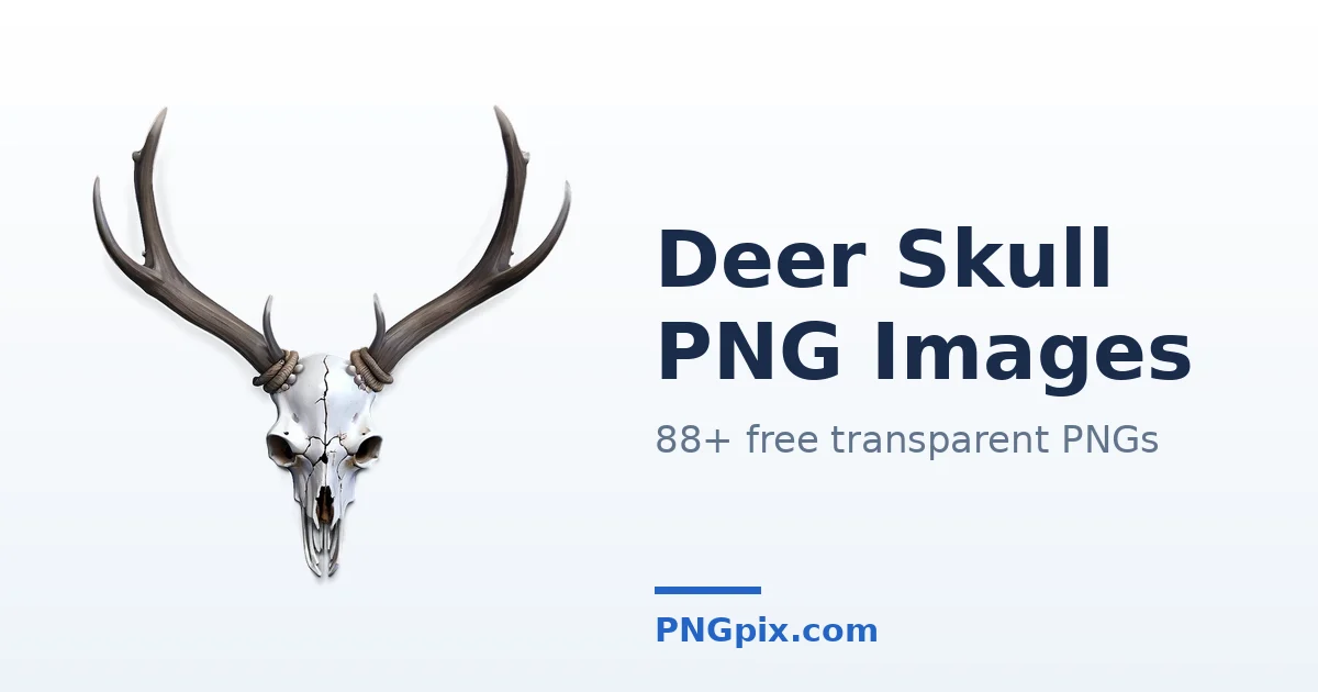 Deer Skull PNG images