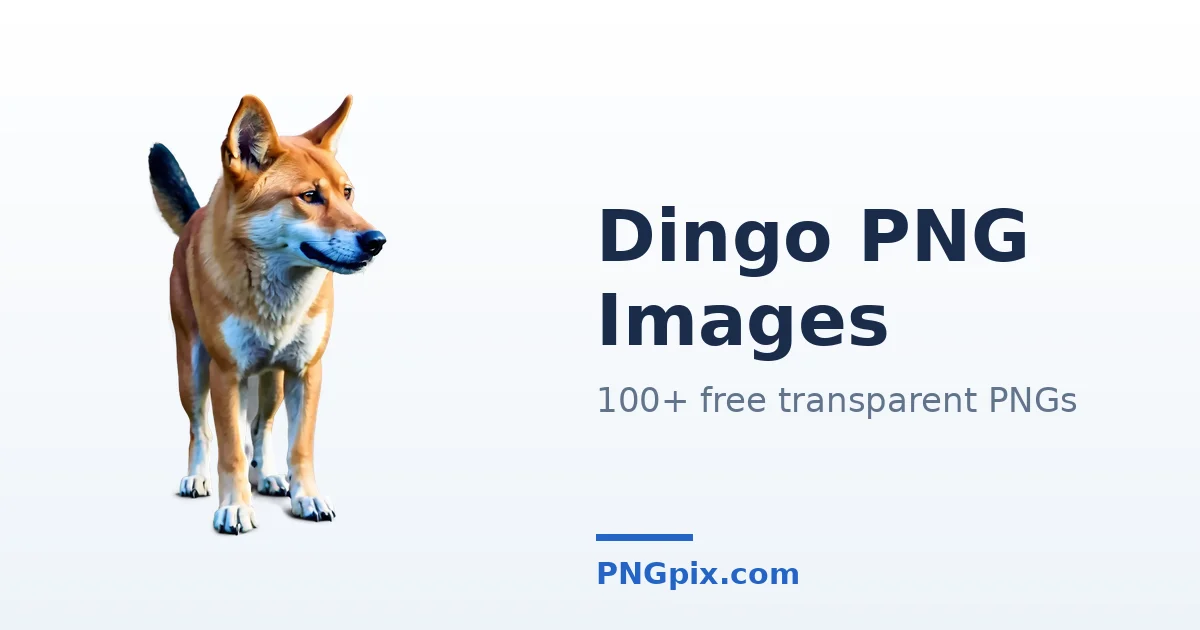 Dingo PNG images