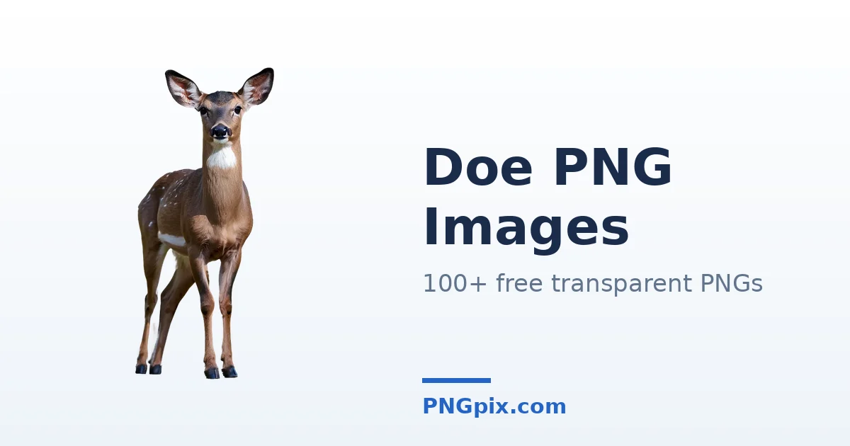 Doe PNG images