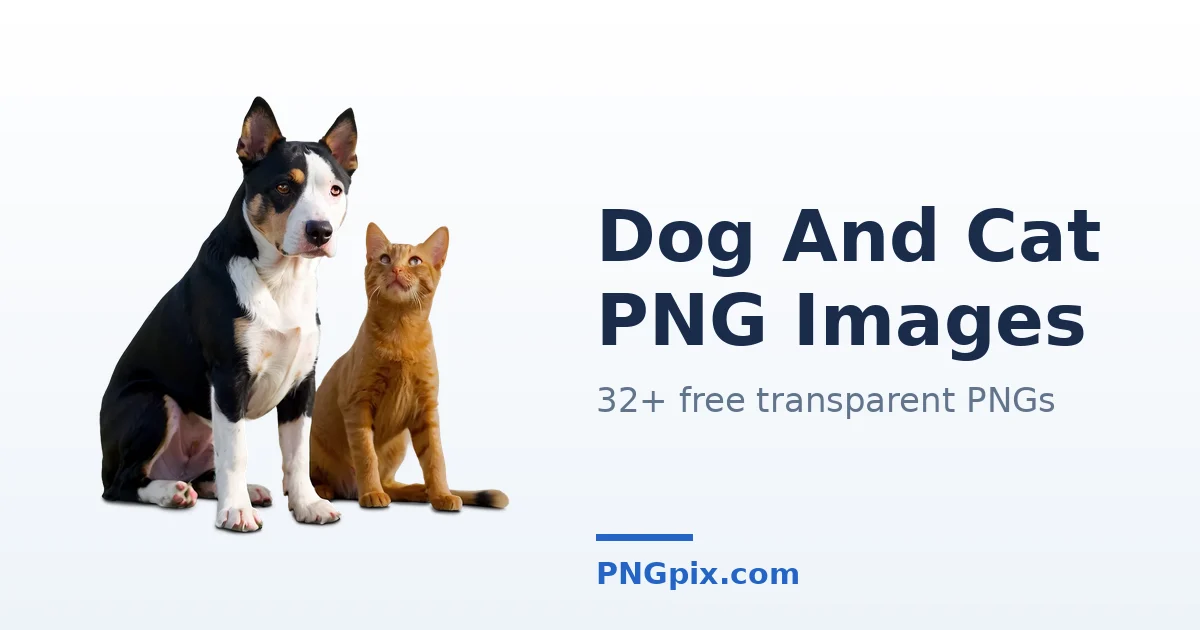 Dog And Cat PNG images