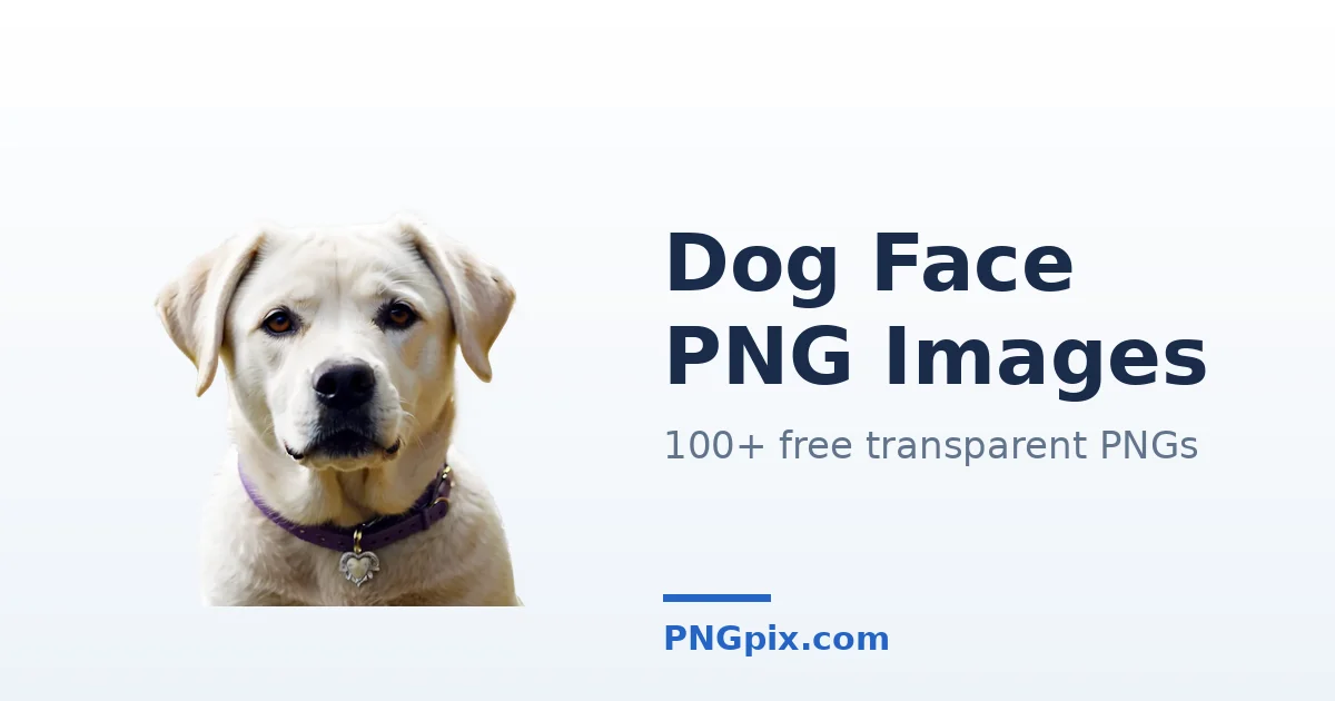 Dog Face PNG images