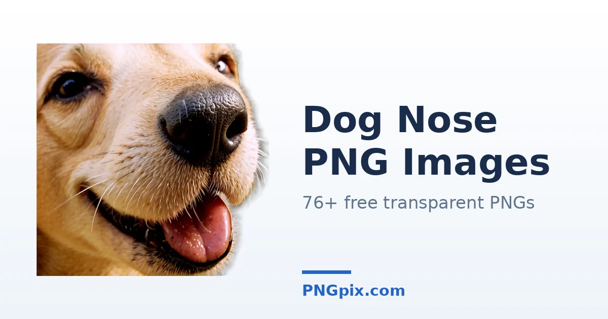Dog Nose PNG images