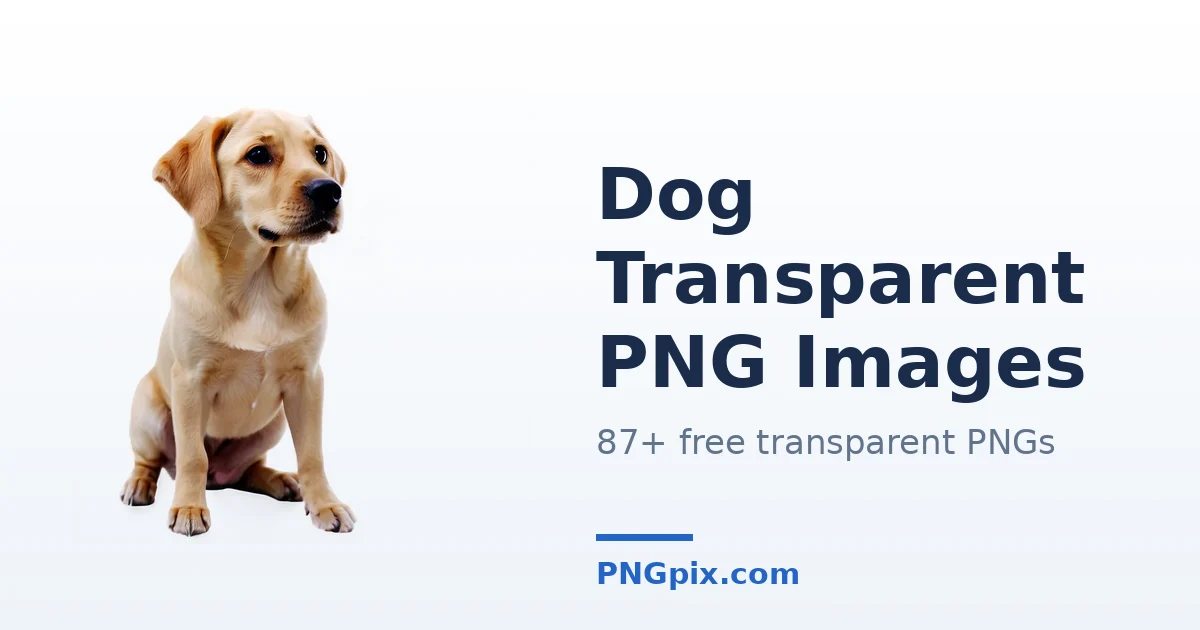 Dog Transparent PNG images