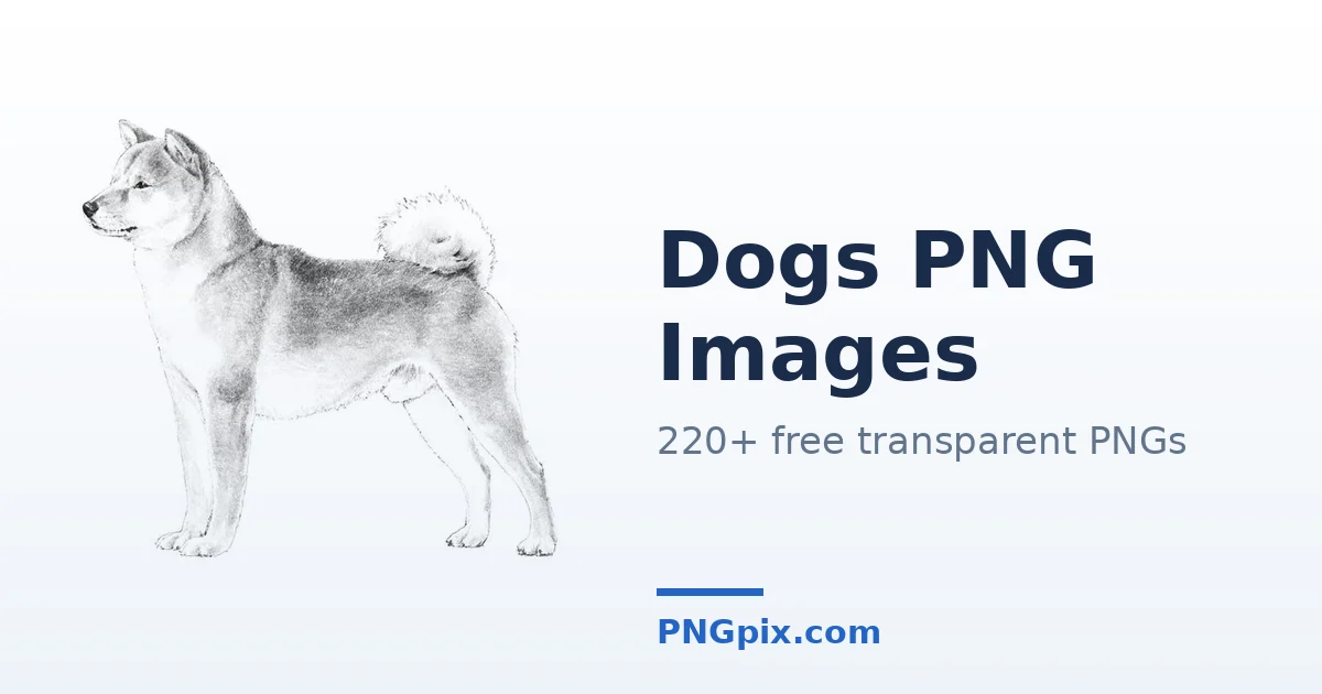 Dogs PNG images