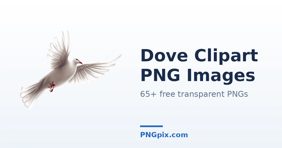 Dove Clipart PNG images