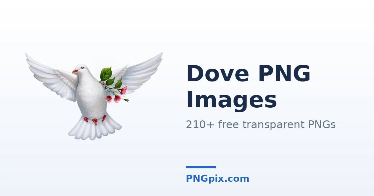 Dove PNG images