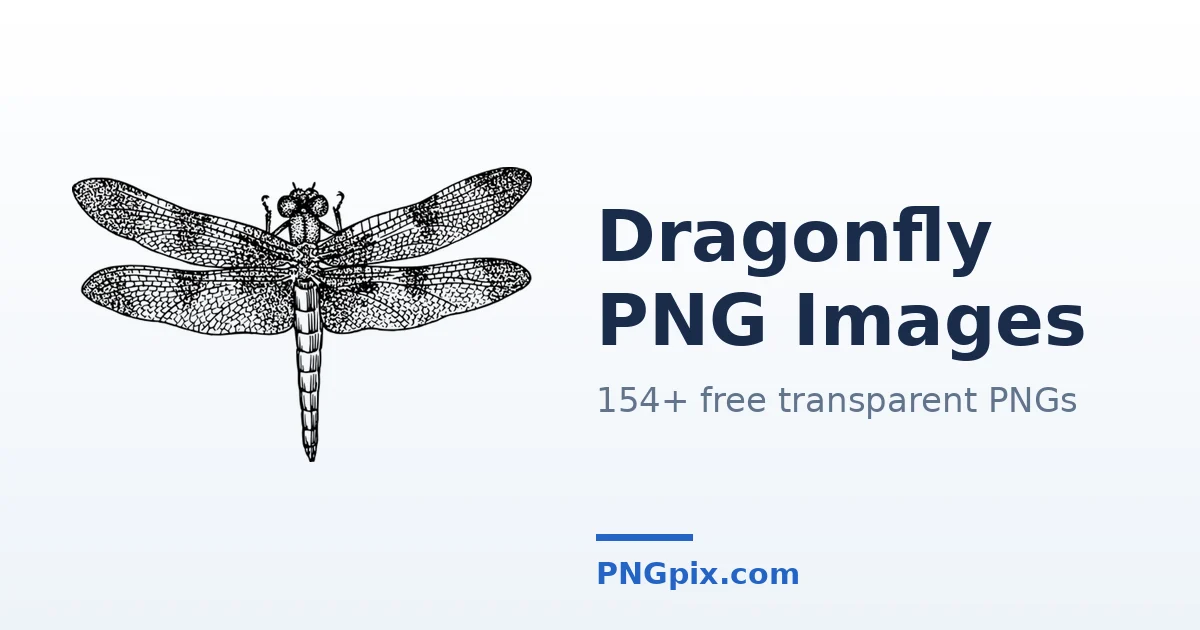 Dragonfly PNG images
