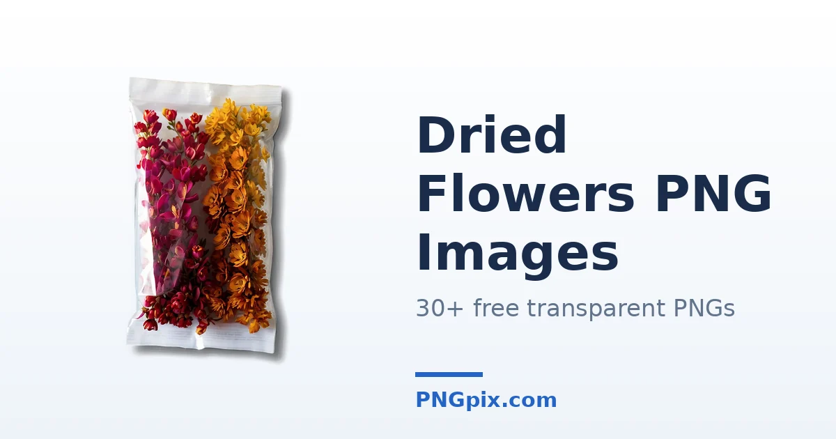 Dried Flowers PNG images