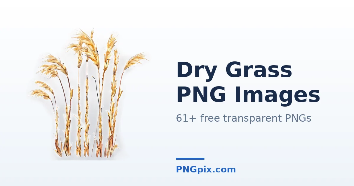 Dry Grass PNG images