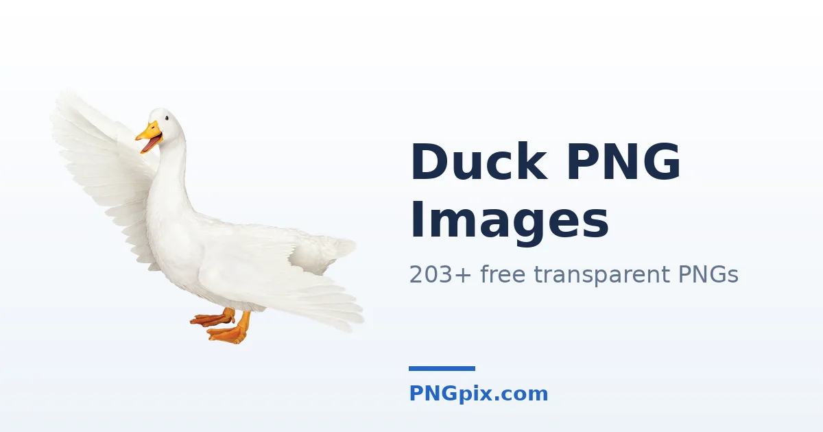 Duck PNG images