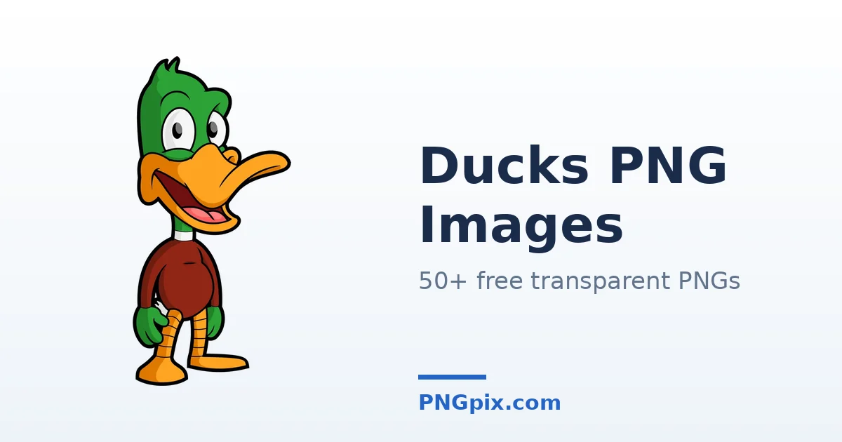 Ducks PNG images