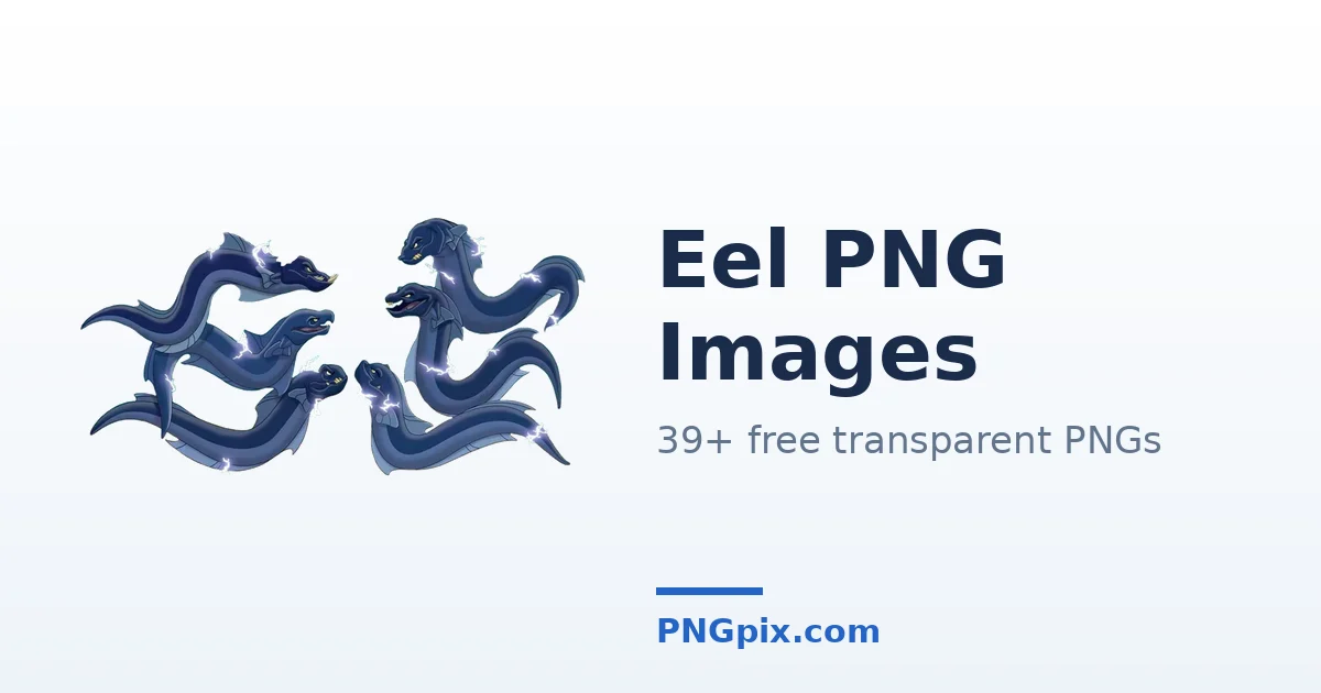 Eel PNG images