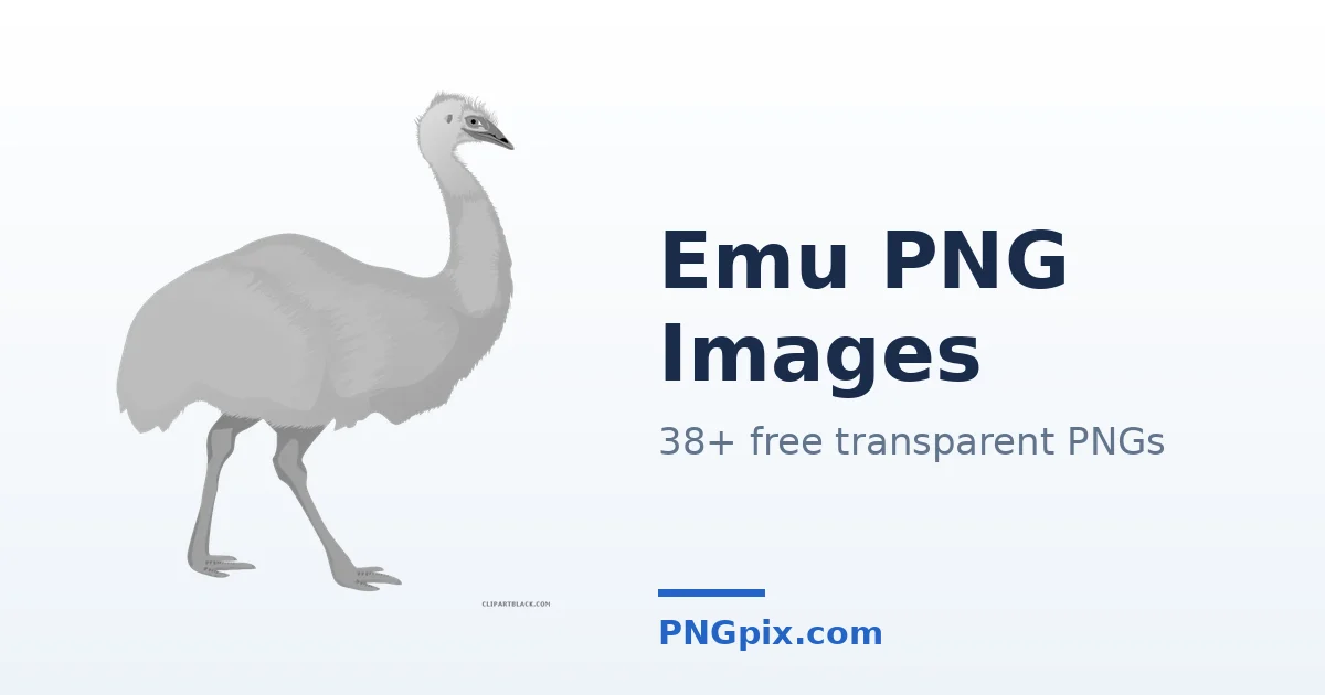 Emu PNG images