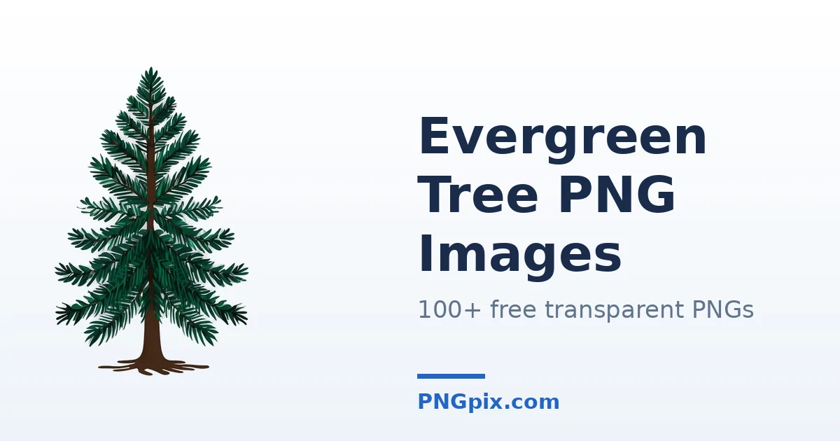 Evergreen Tree PNG images