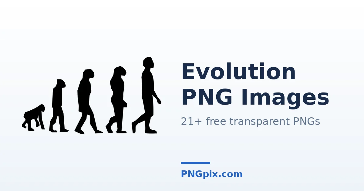 Evolution PNG images