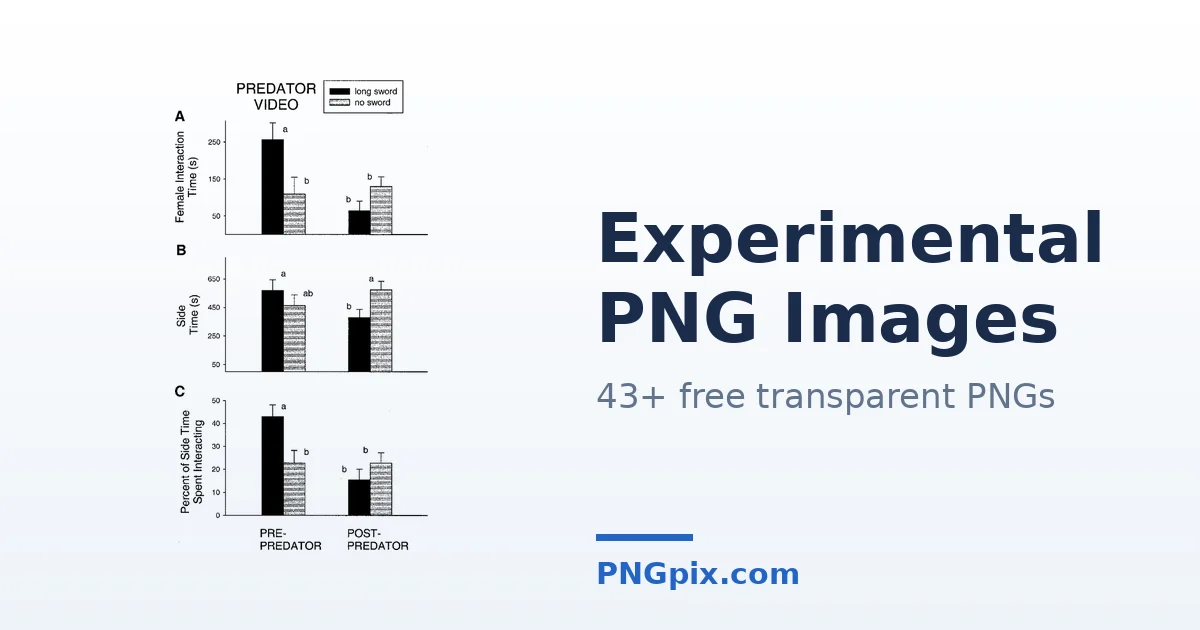 Experimental PNG images